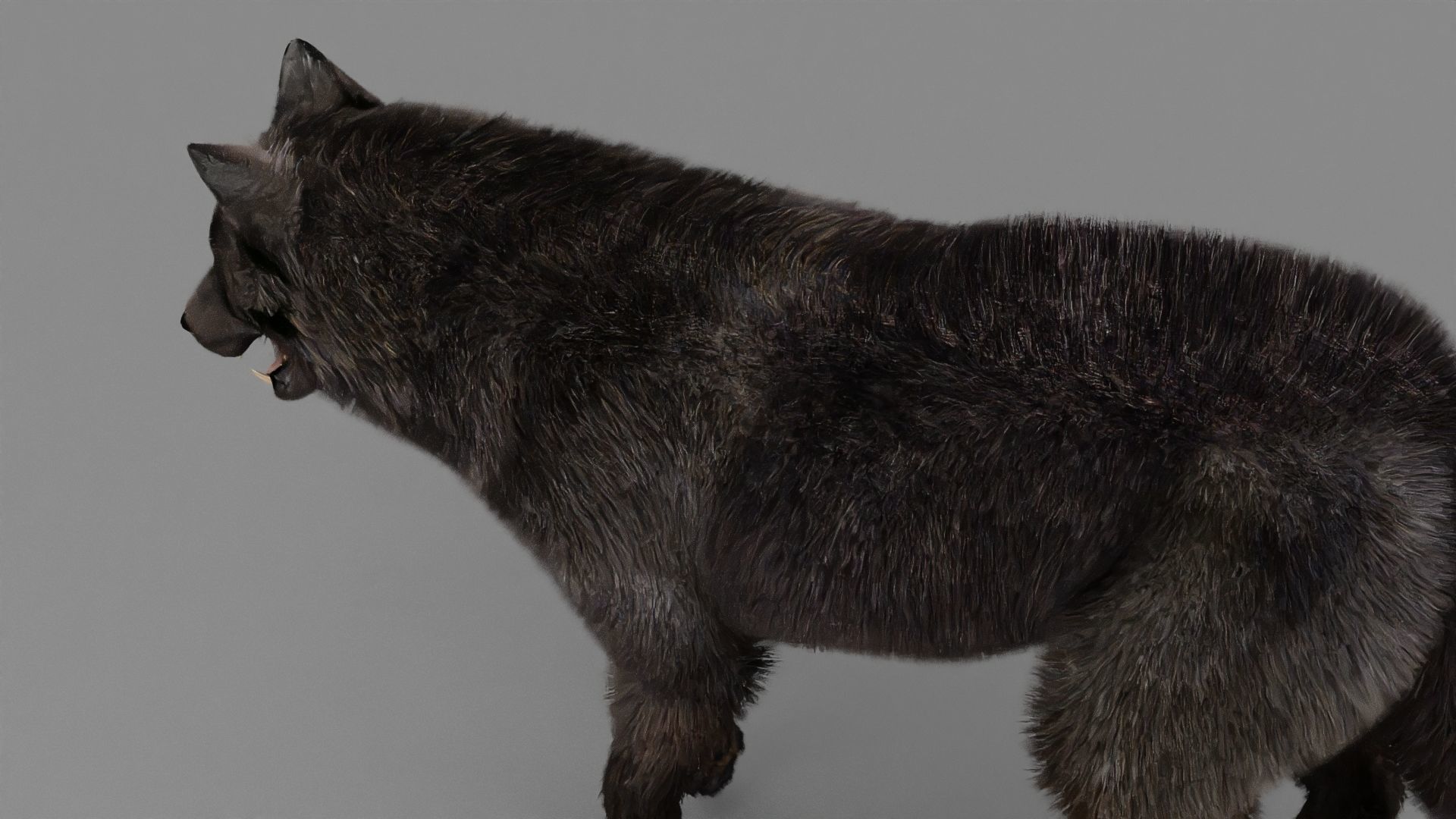 WOLF rigged character 3D model_18