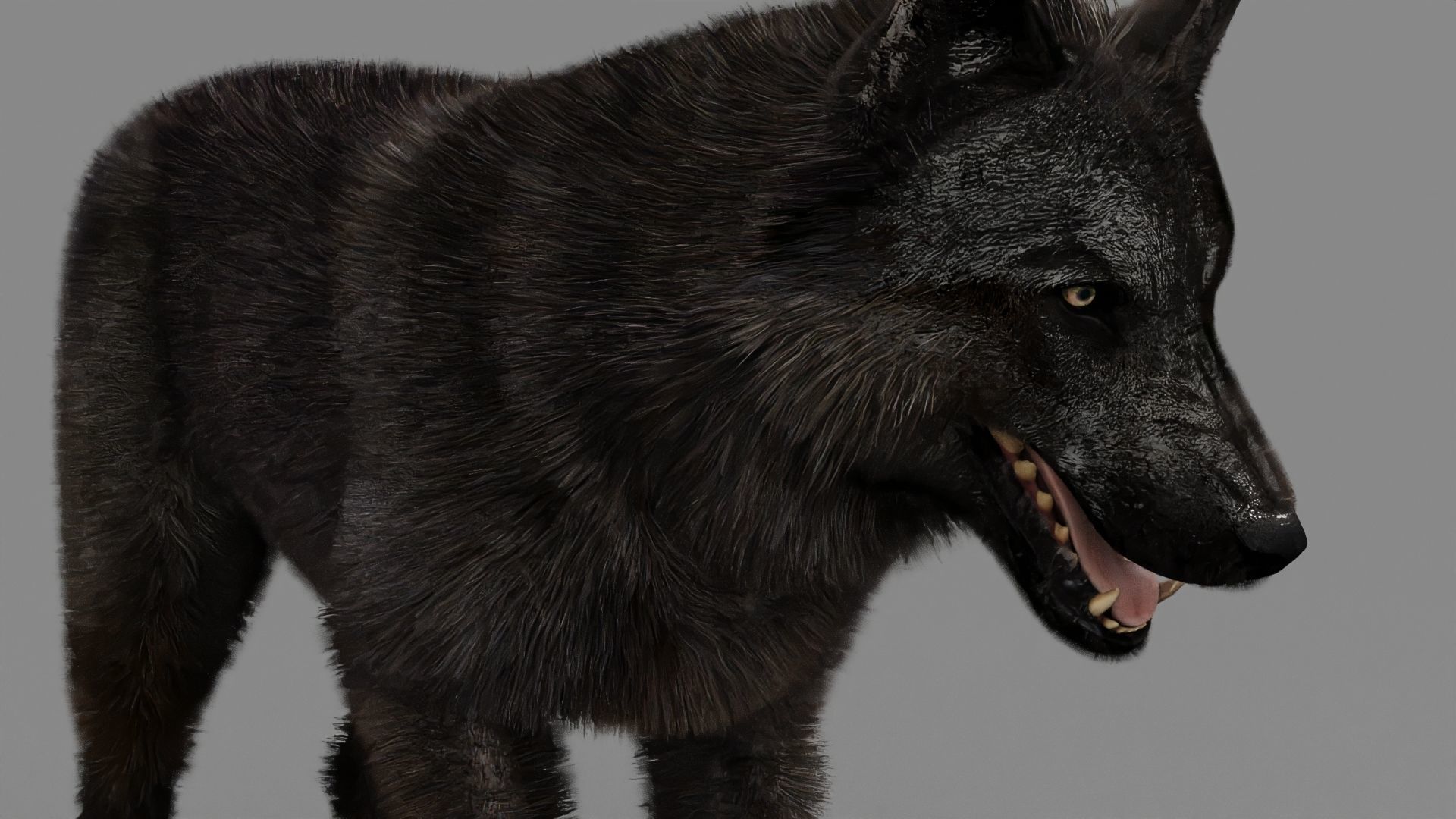 WOLF rigged character 3D model_20