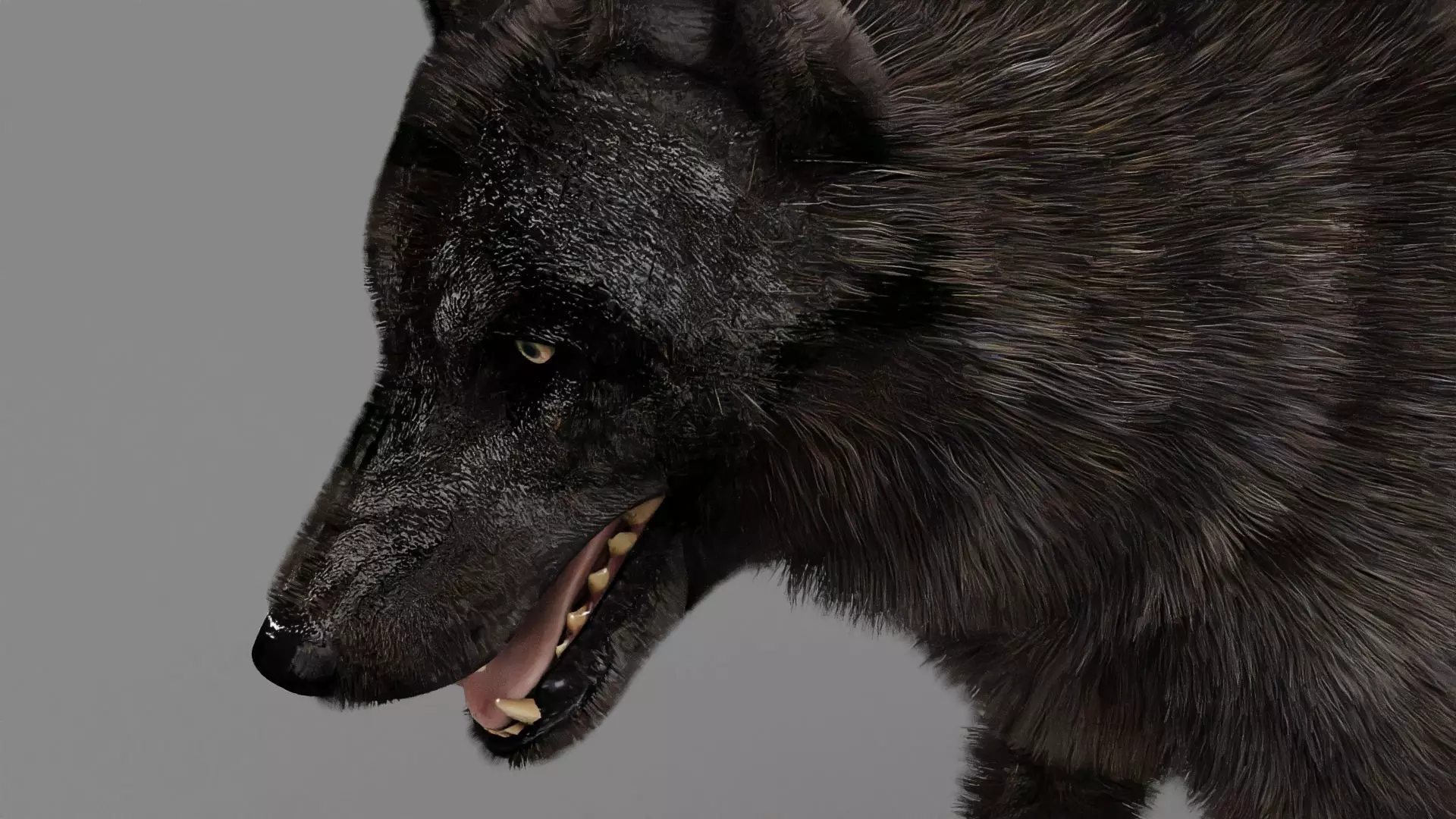 WOLF rigged character 3D model_0