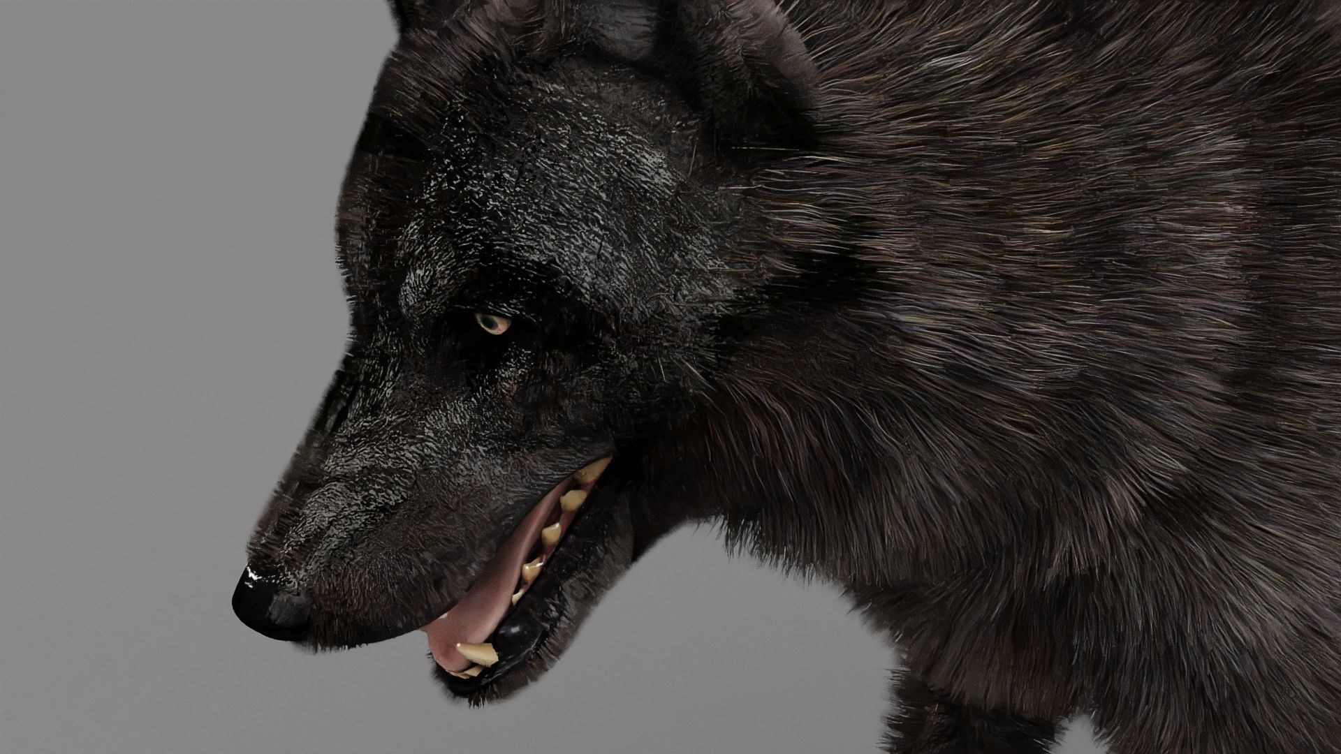 WOLF rigged character 3D model_0
