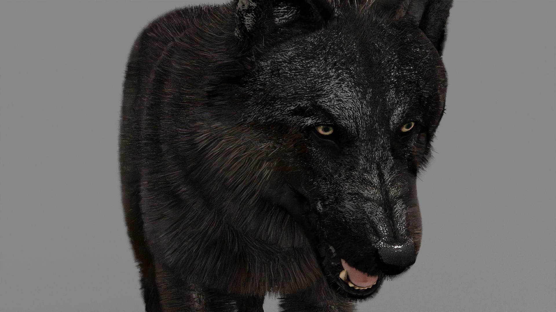 WOLF rigged character 3D model_16