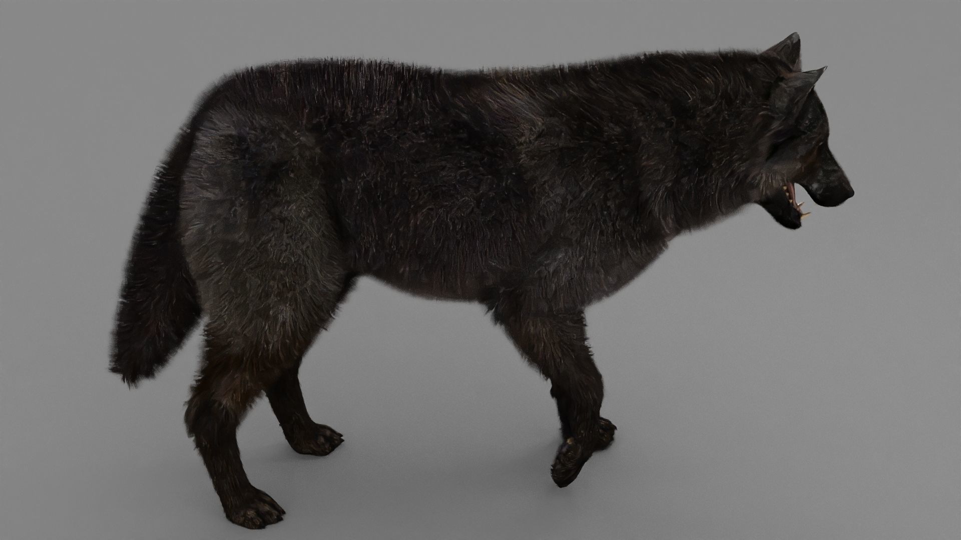 WOLF rigged character 3D model_10