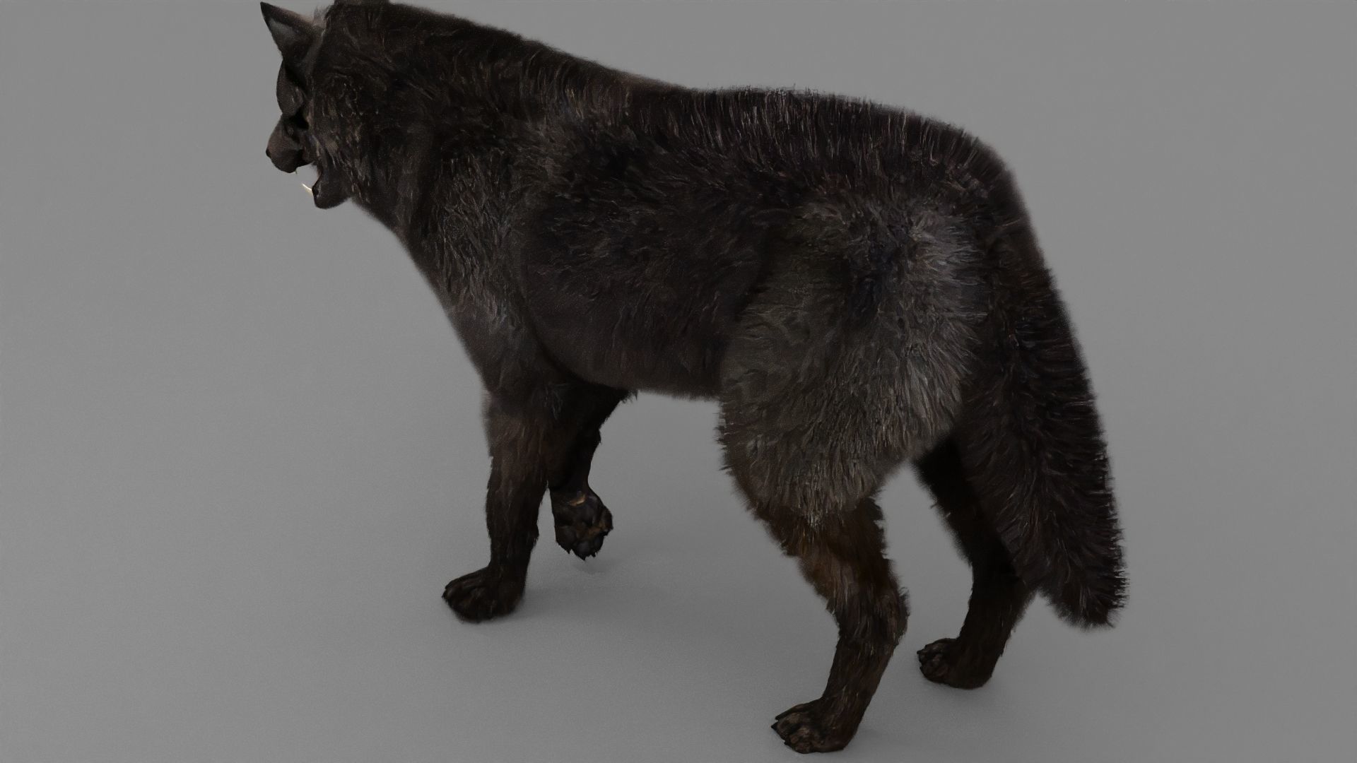 WOLF rigged character 3D model_8
