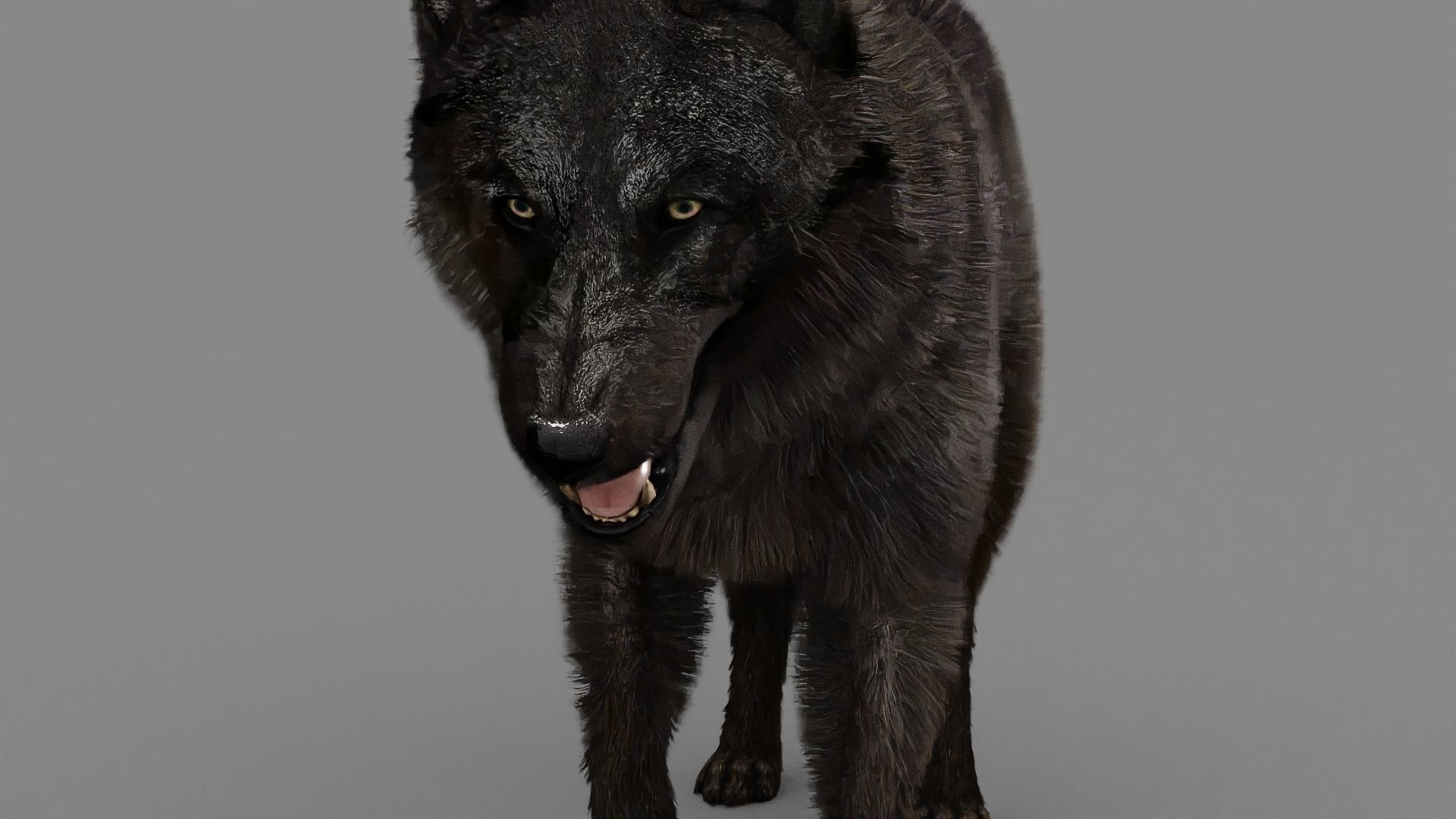 WOLF rigged character 3D model_1