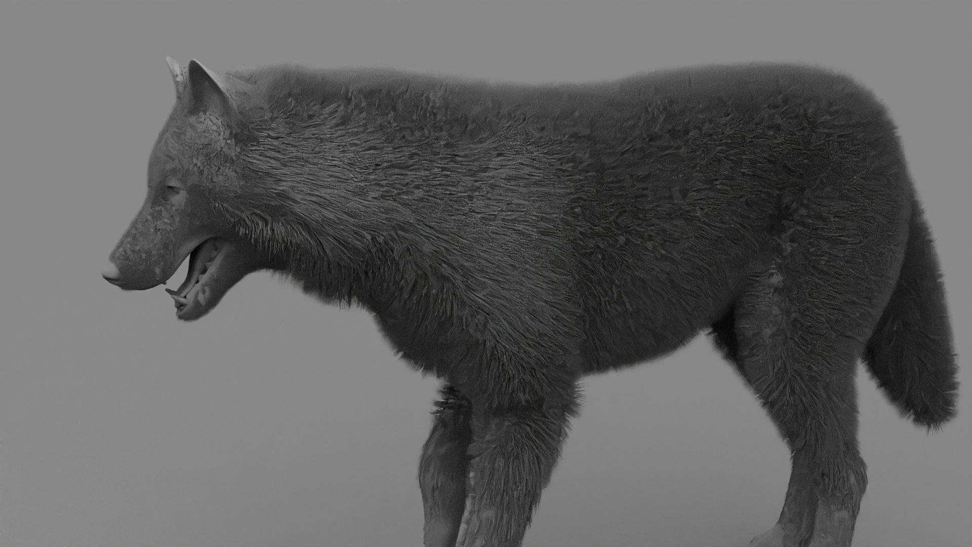 WOLF rigged character 3D model_25