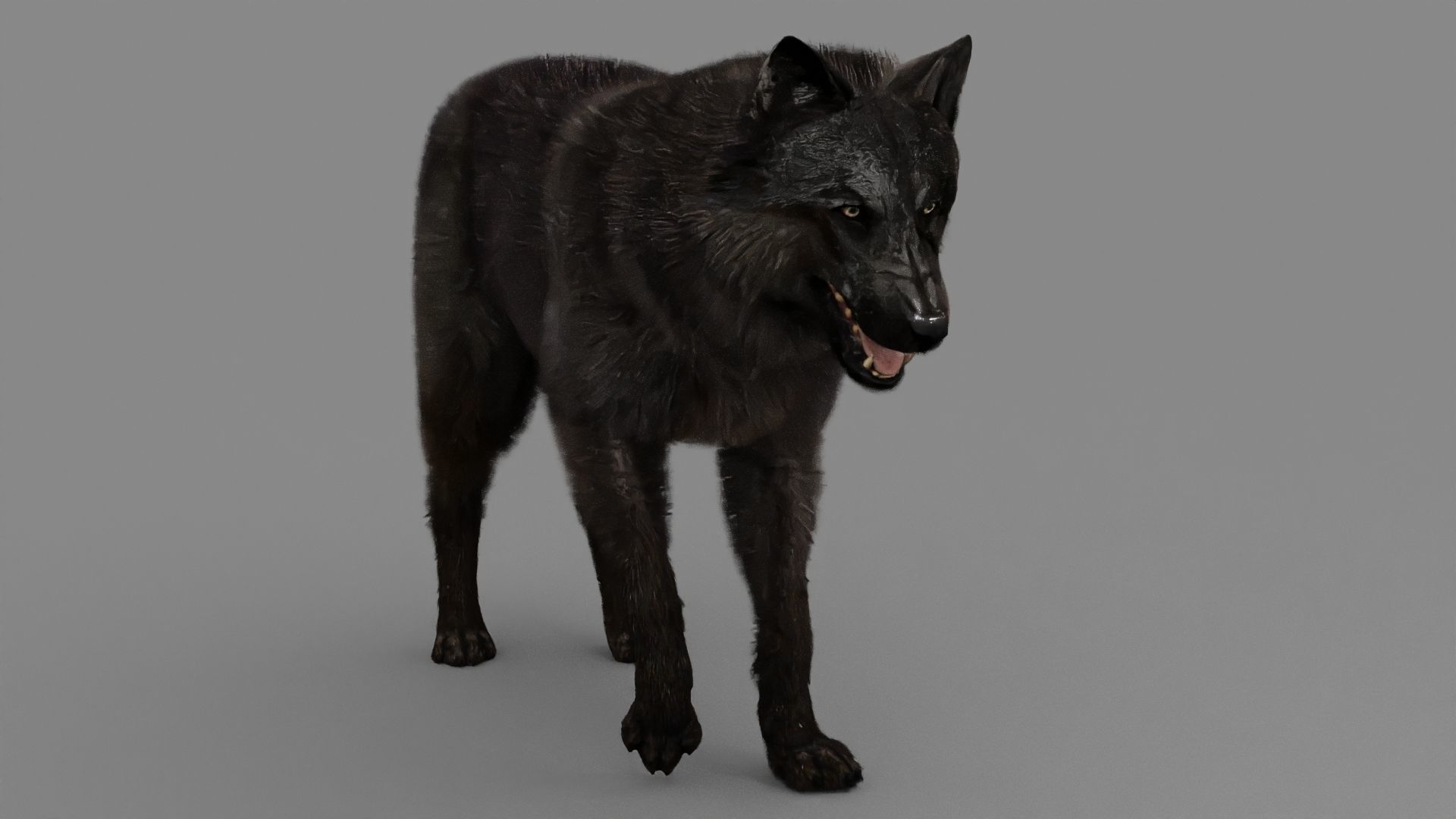 WOLF rigged character 3D model_13