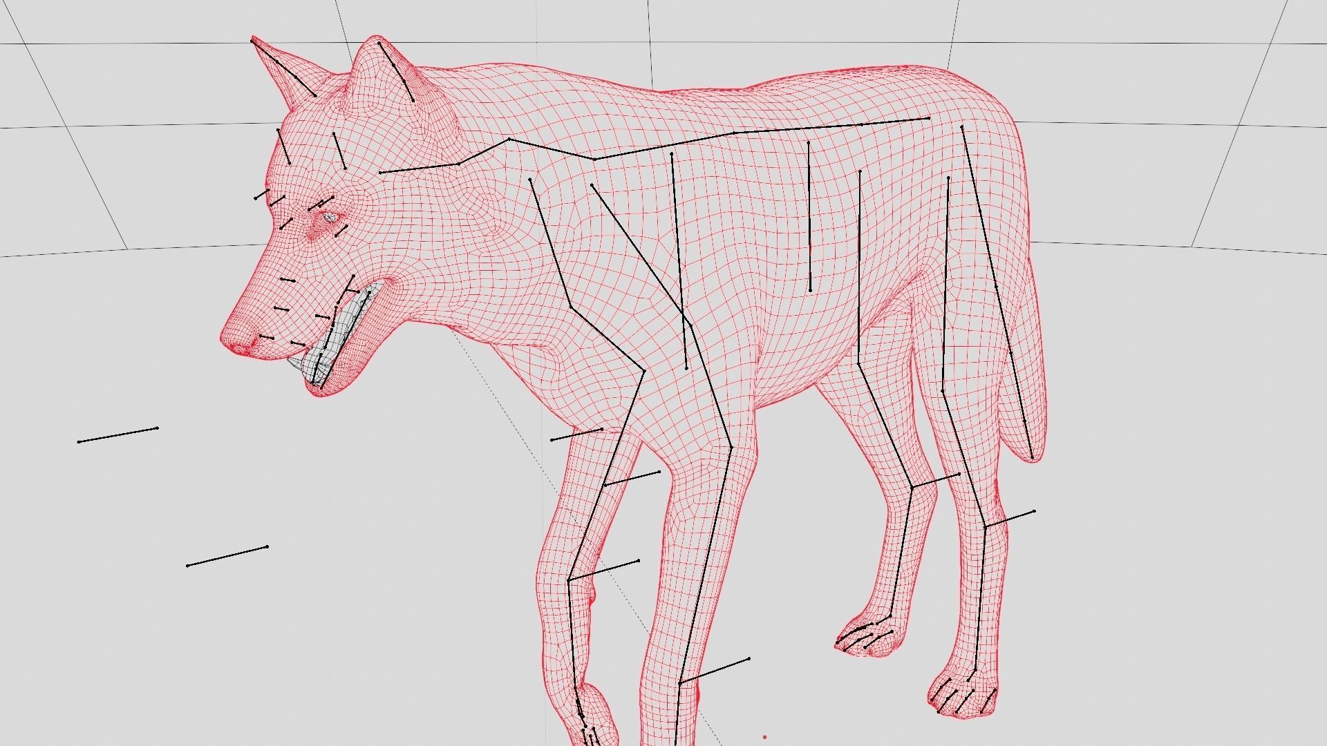 WOLF rigged character 3D model_30