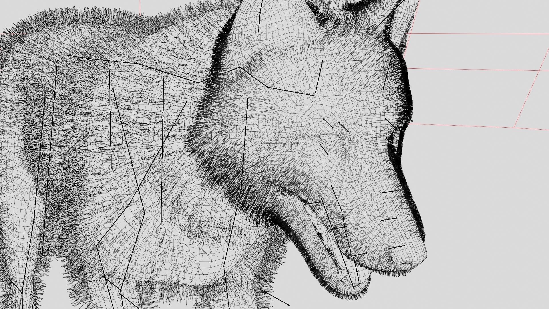 WOLF rigged character 3D model_33