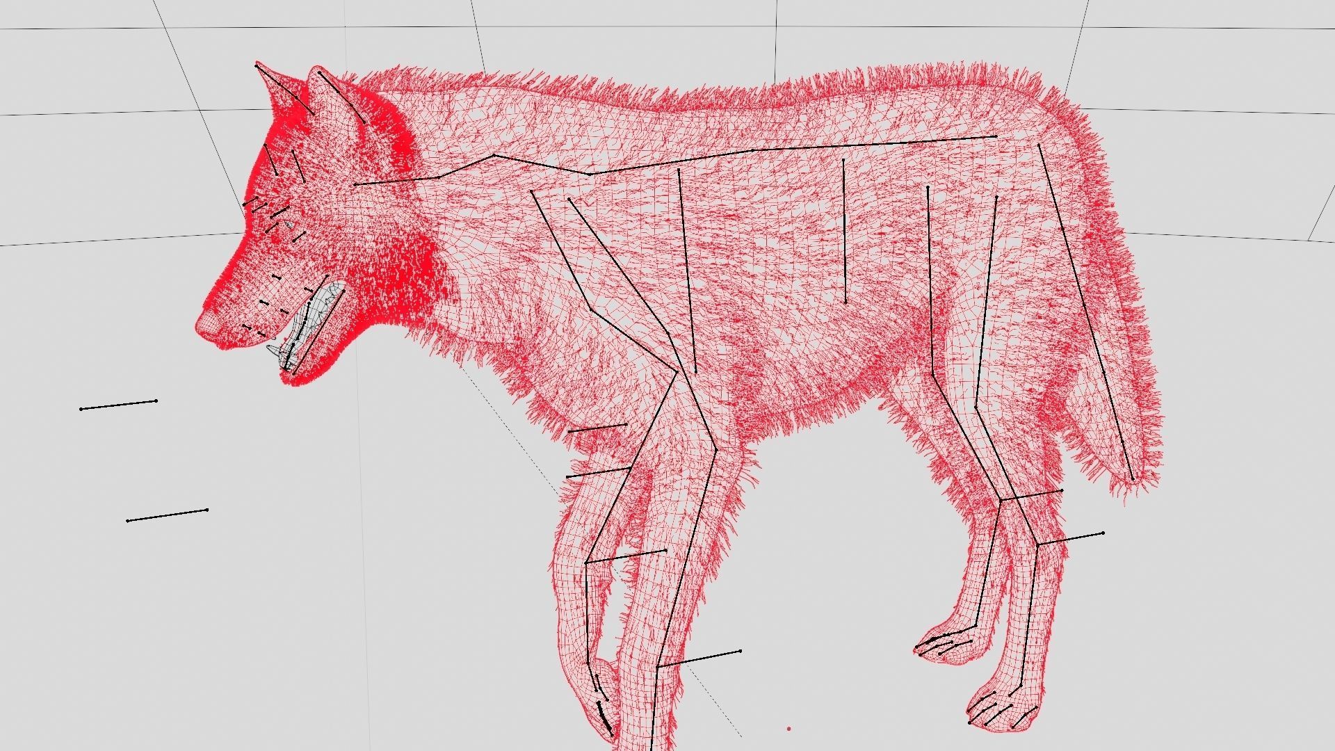 WOLF rigged character 3D model_31