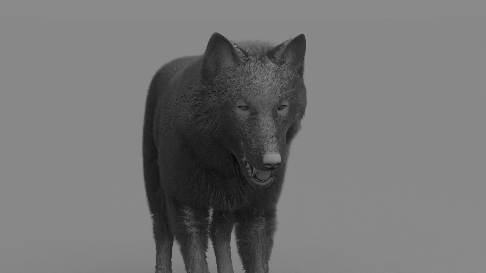 WOLF rigged character 3D model_22