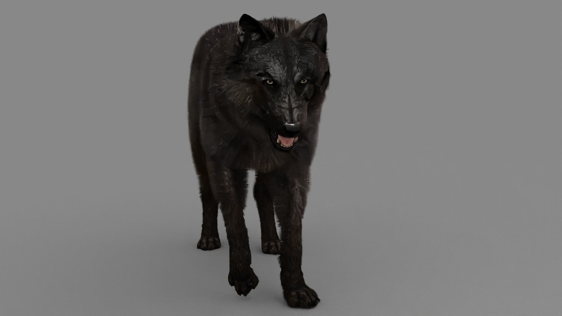 WOLF rigged character 3D model_14