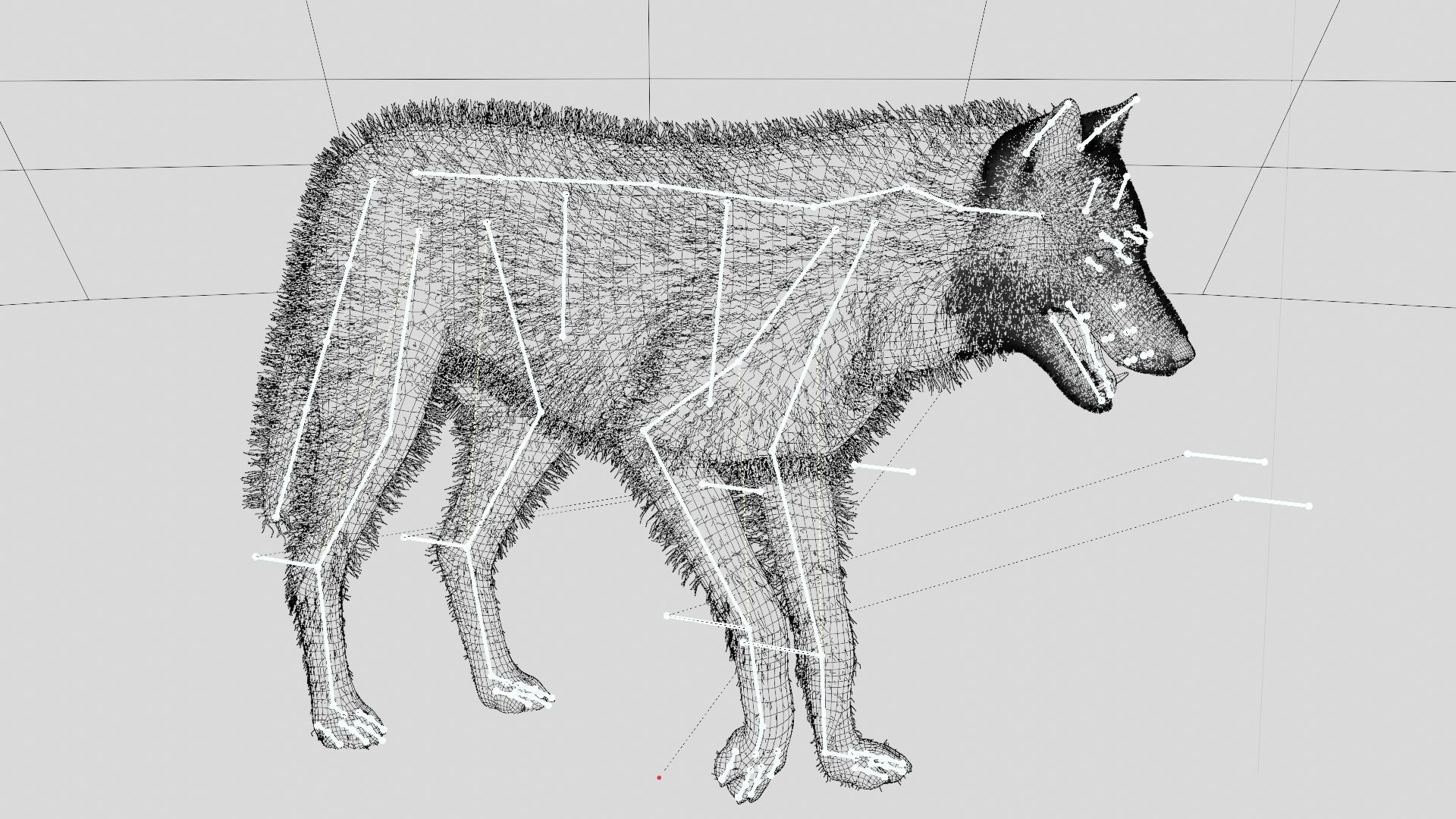 WOLF rigged character 3D model_32