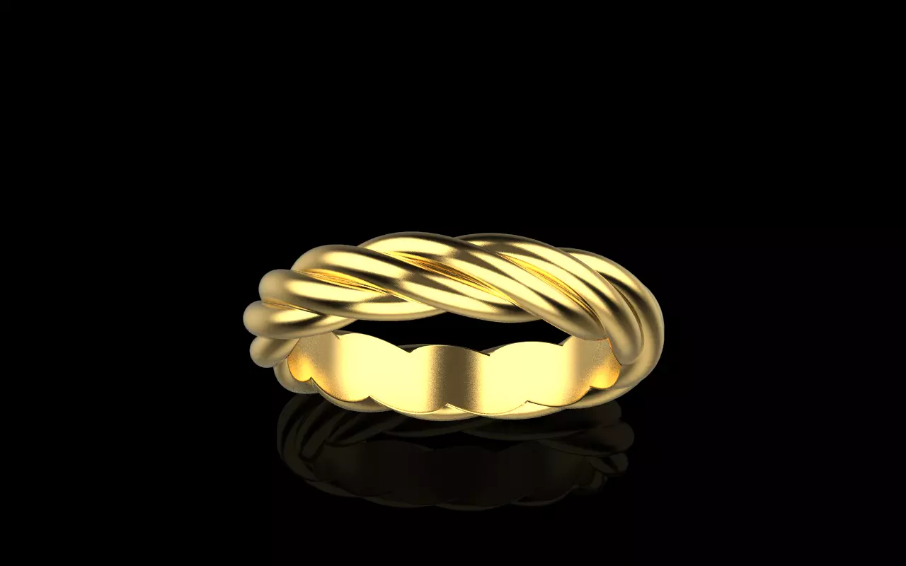 braid ring model 212 3D print model_0
