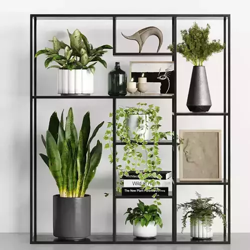 Decorative Set 20 Rack 6