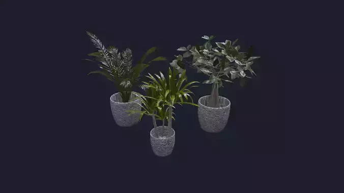 Indoor Plants Green Inspiration Pack