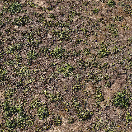 Spring soil 3D model