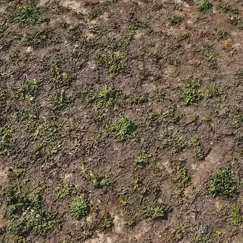 Spring soil 3D model