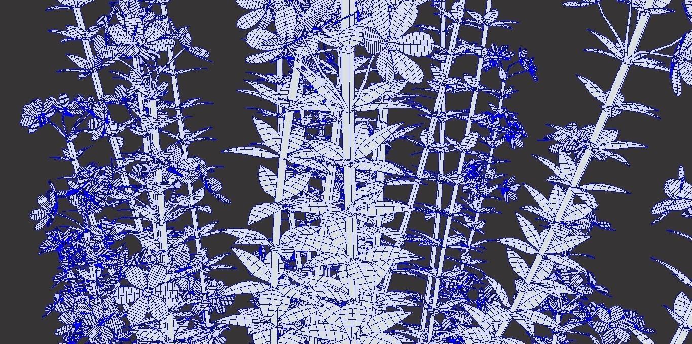 Realistic forest flowers Low-poly 3D model_8