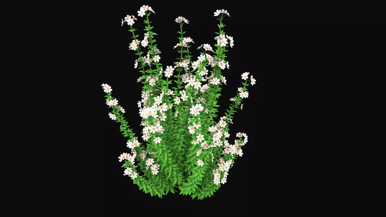 Realistic forest flowers Low-poly 3D model_0