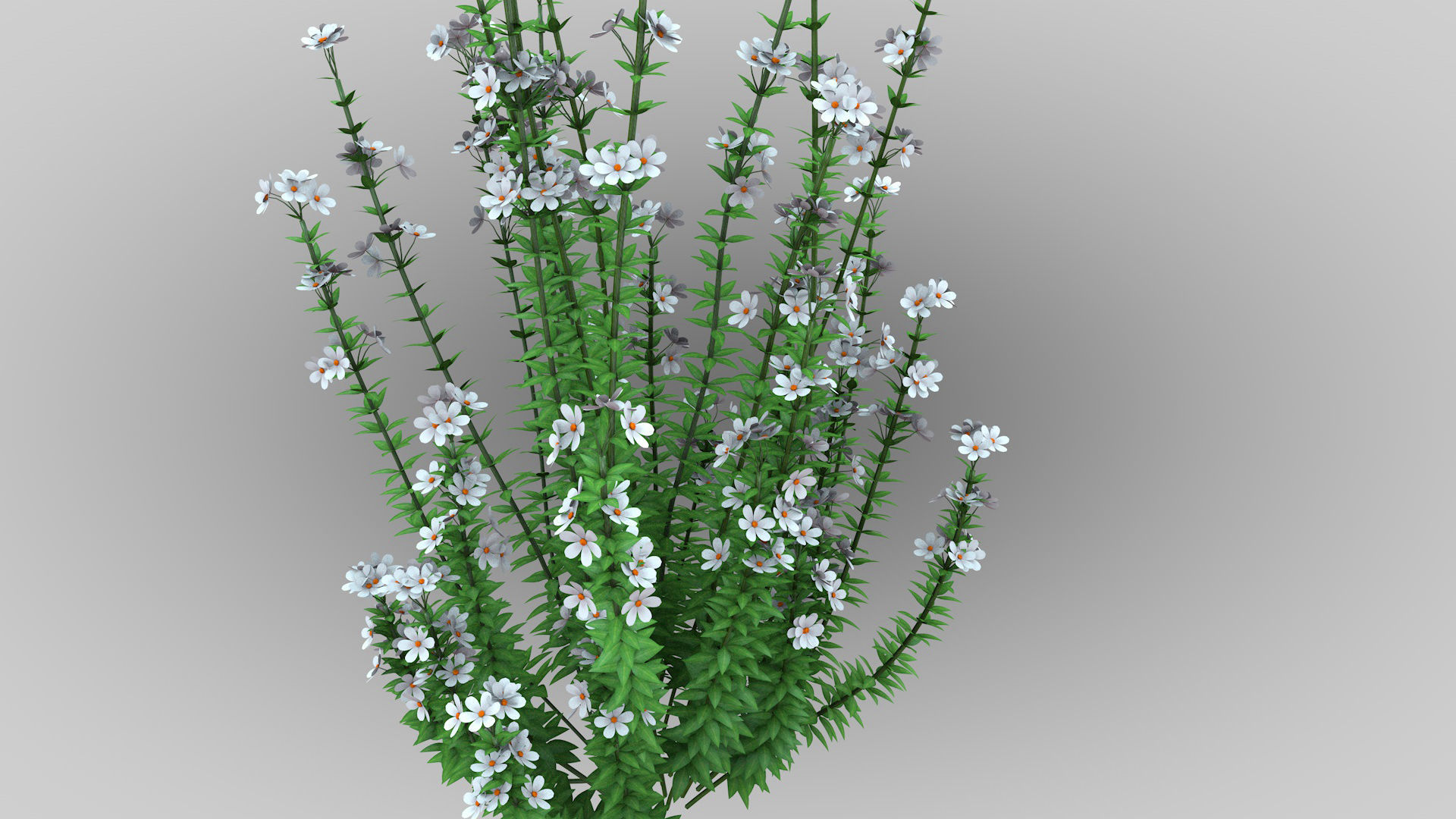 Realistic forest flowers Low-poly 3D model_3
