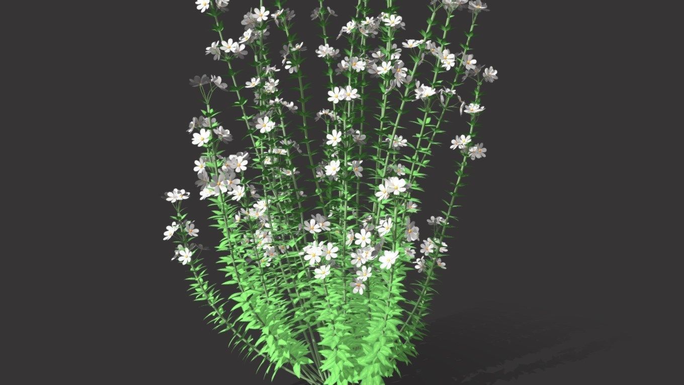 Realistic forest flowers Low-poly 3D model_5