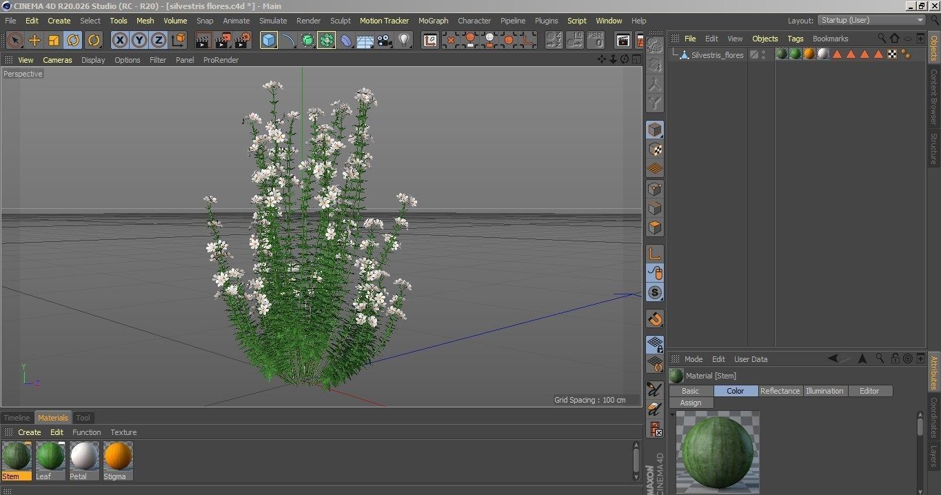 Realistic forest flowers Low-poly 3D model_7