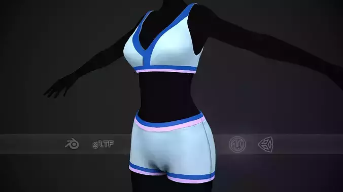 Female Bra and Underwear 