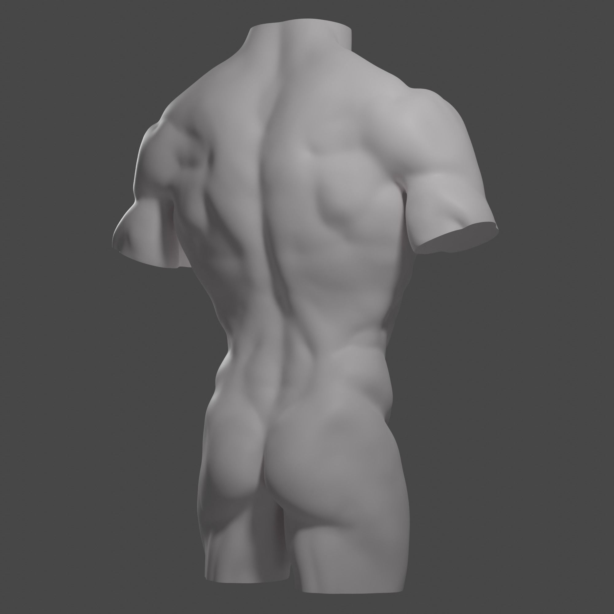 Male torso Free 3D model_8