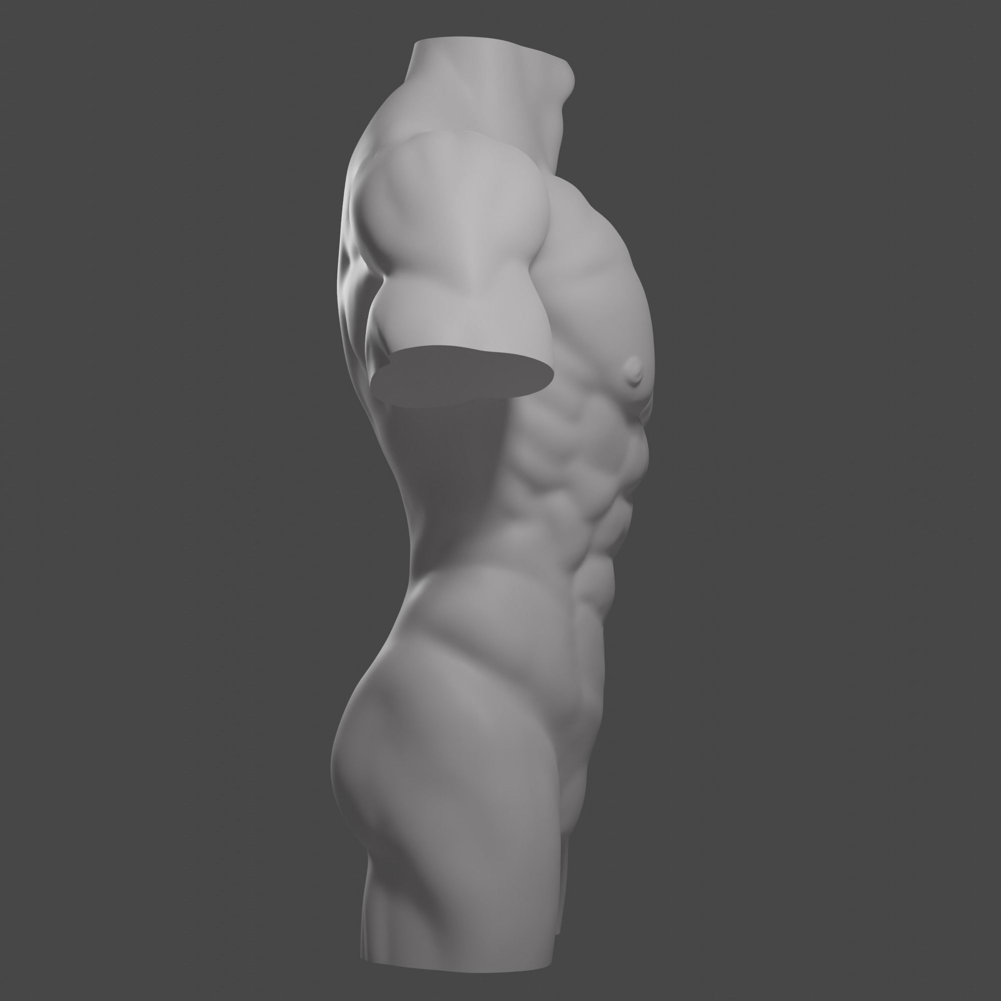 Male torso Free 3D model_7