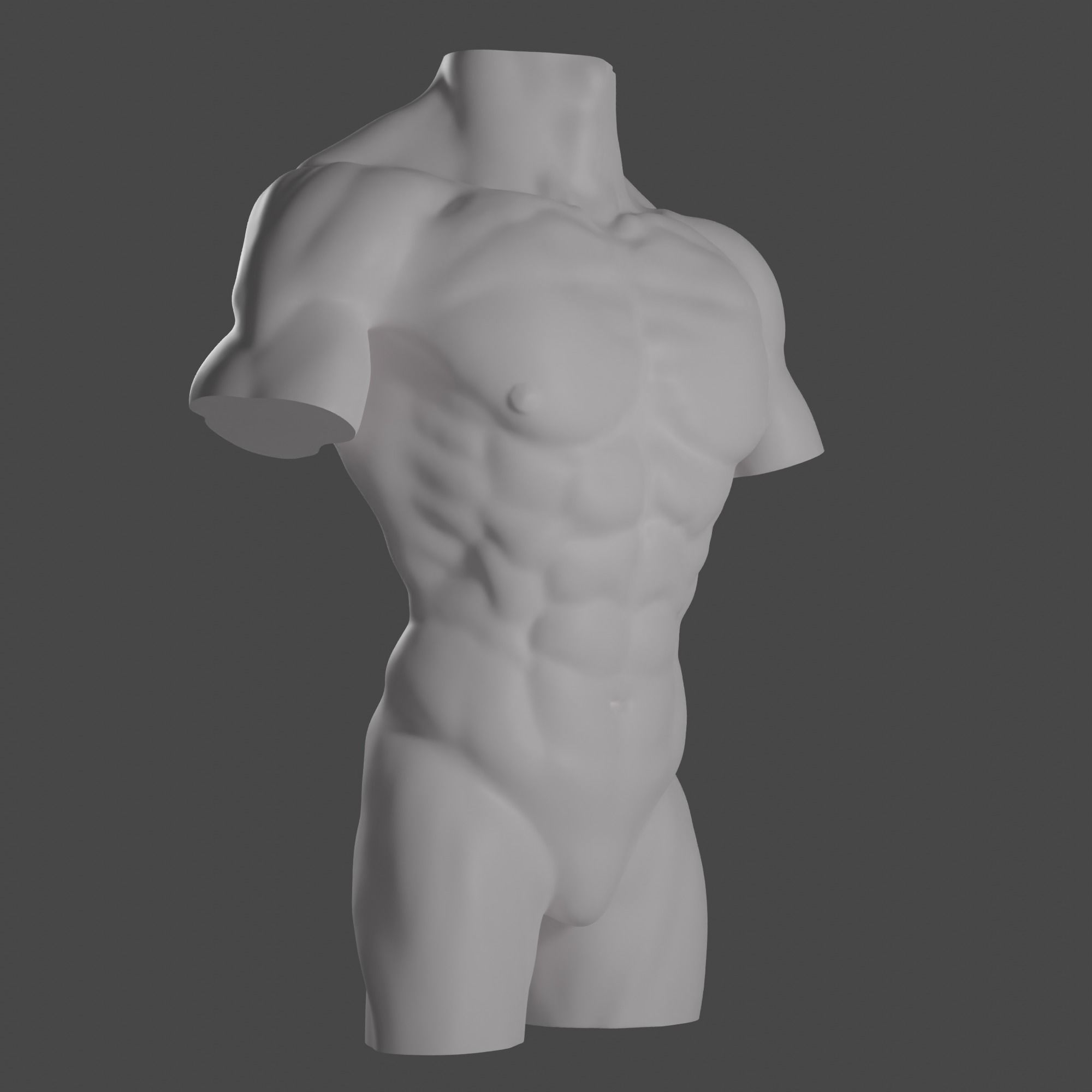 Male torso Free 3D model_6