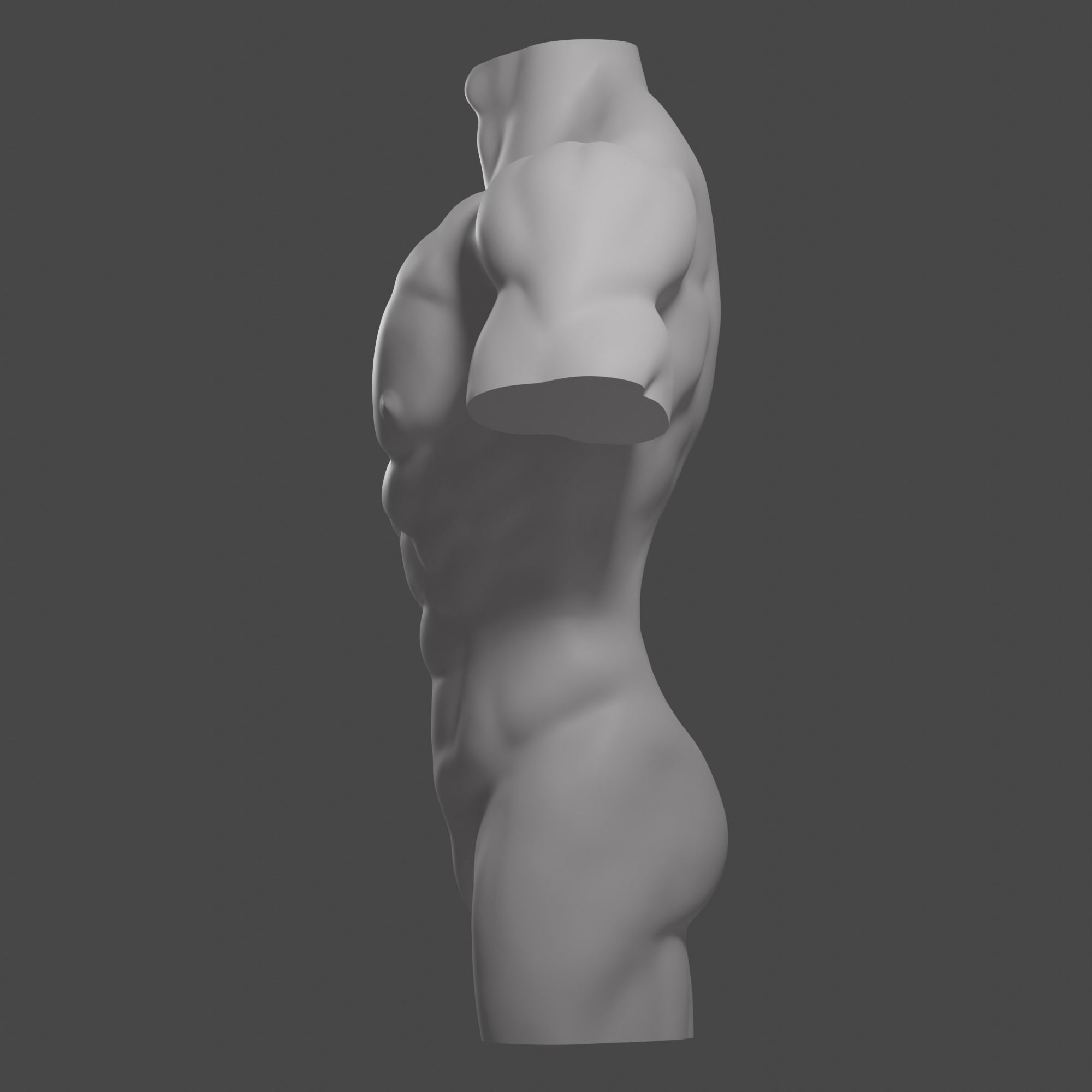 Male torso Free 3D model_10