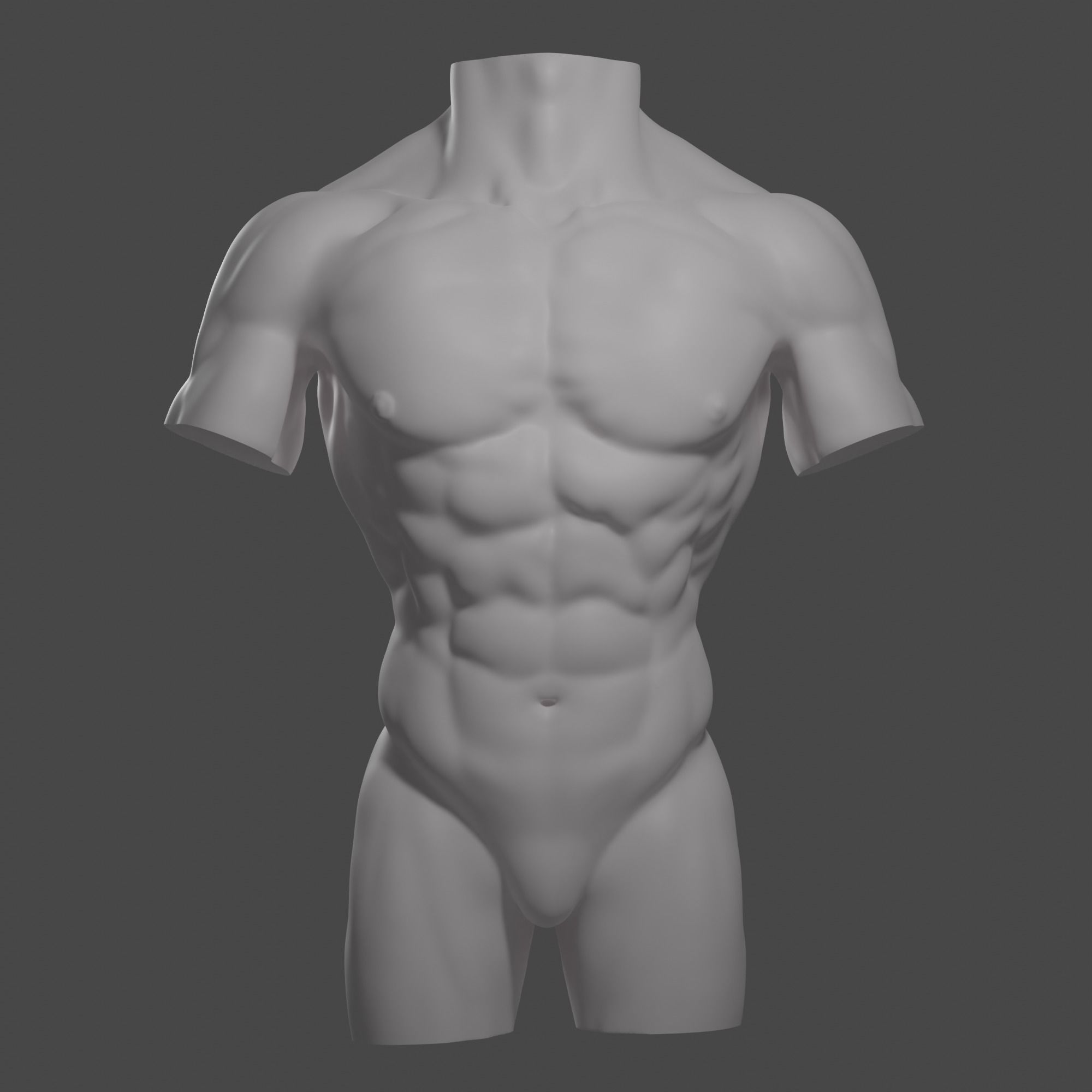 Male torso Free 3D model_5