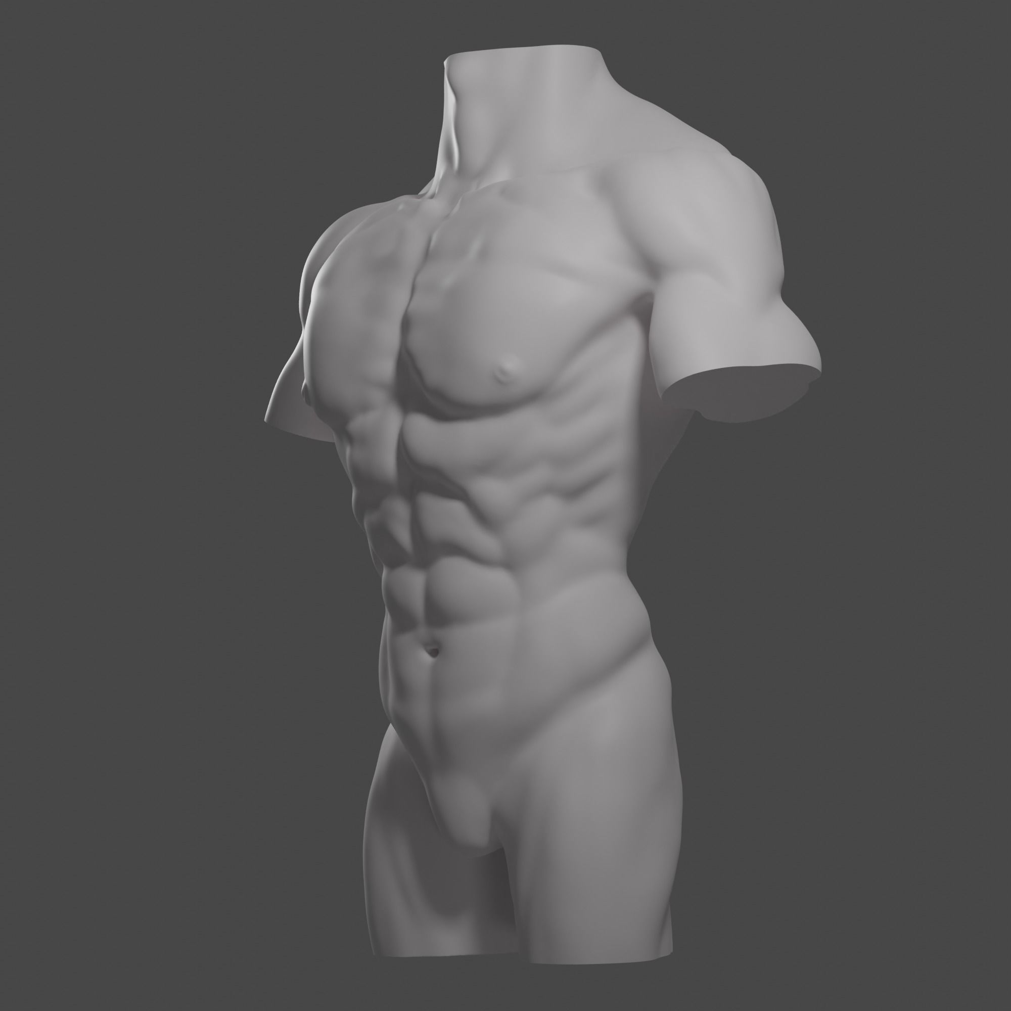 Male torso Free 3D model_11
