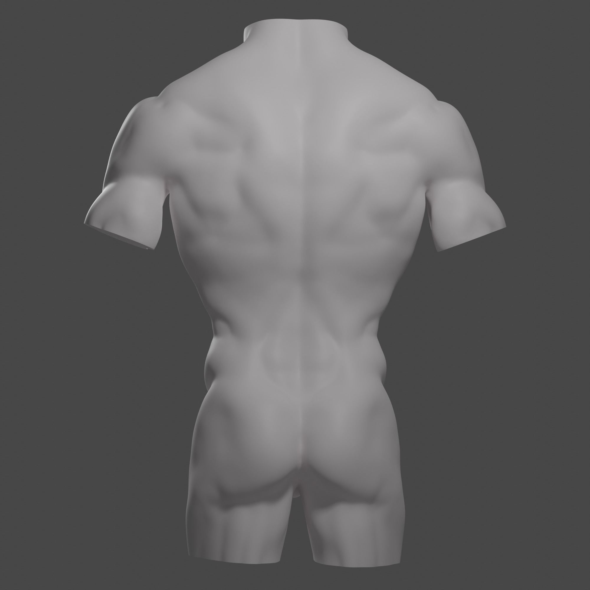 Male torso Free 3D model_9