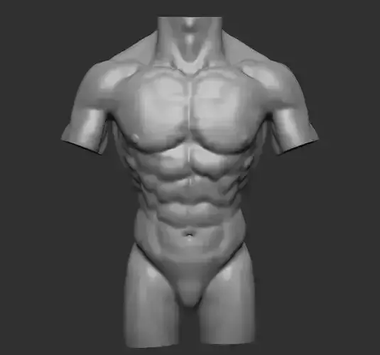 Male torso Free 3D model