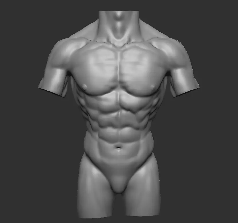 Male torso Free 3D model_0