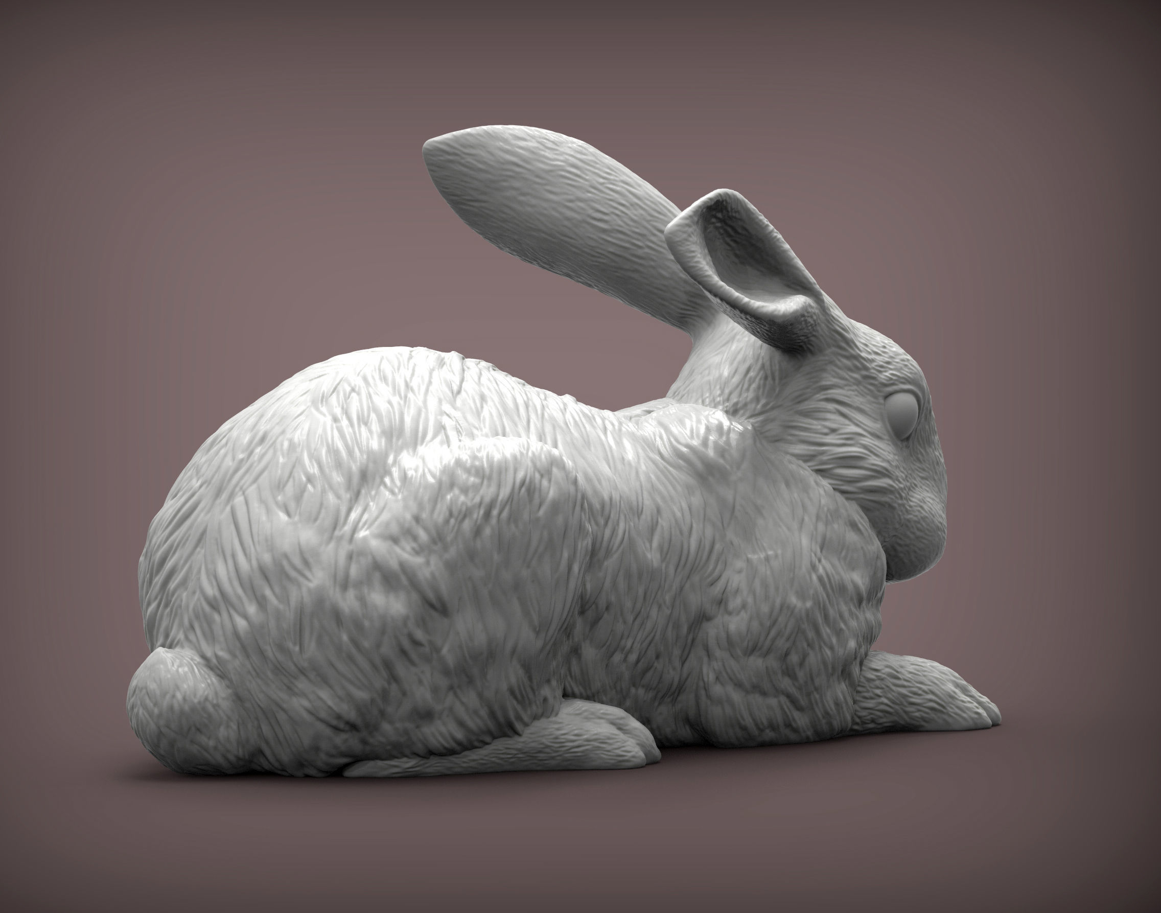 Rabbit 3D print model bunny 3D print model_3