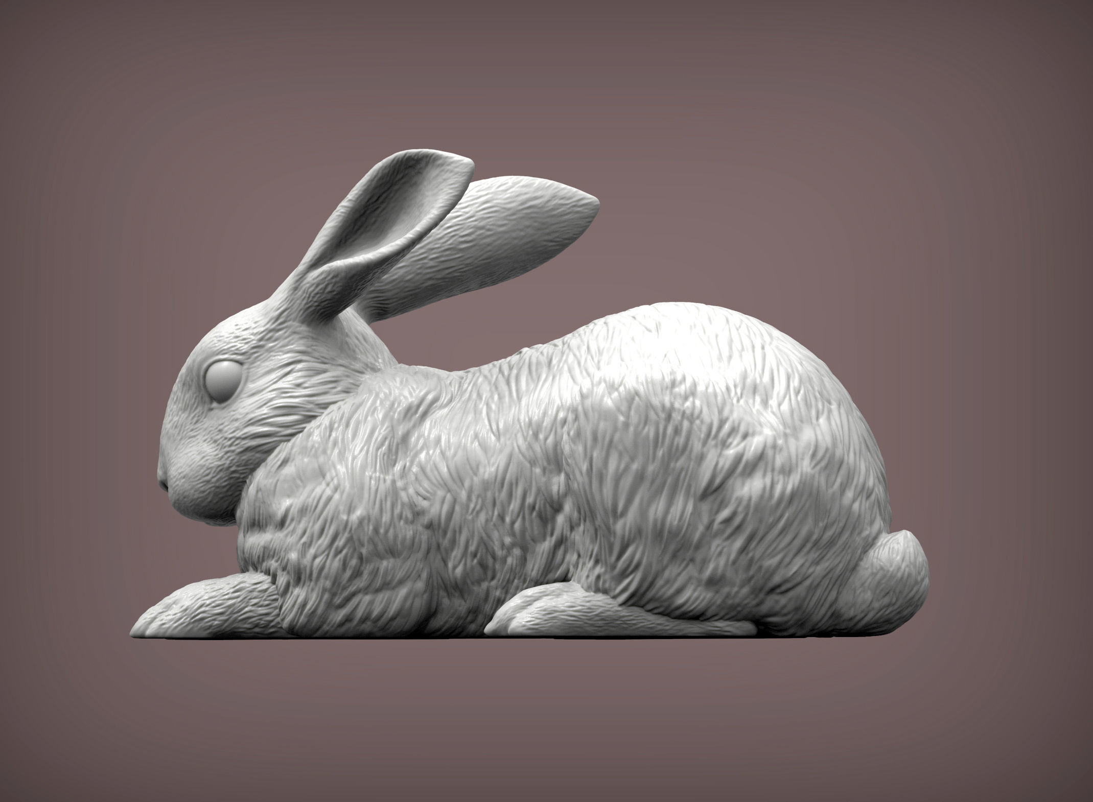 Rabbit 3D print model bunny 3D print model_1