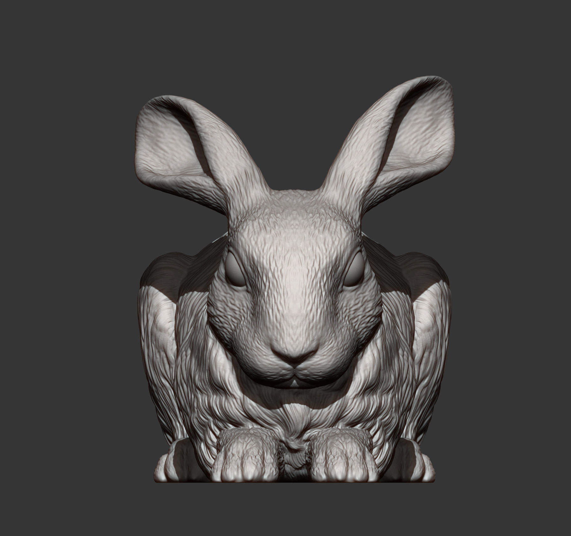 Rabbit 3D print model bunny 3D print model_5