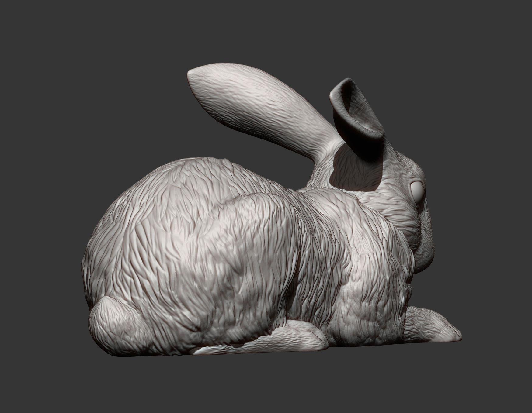 Rabbit 3D print model bunny 3D print model_7