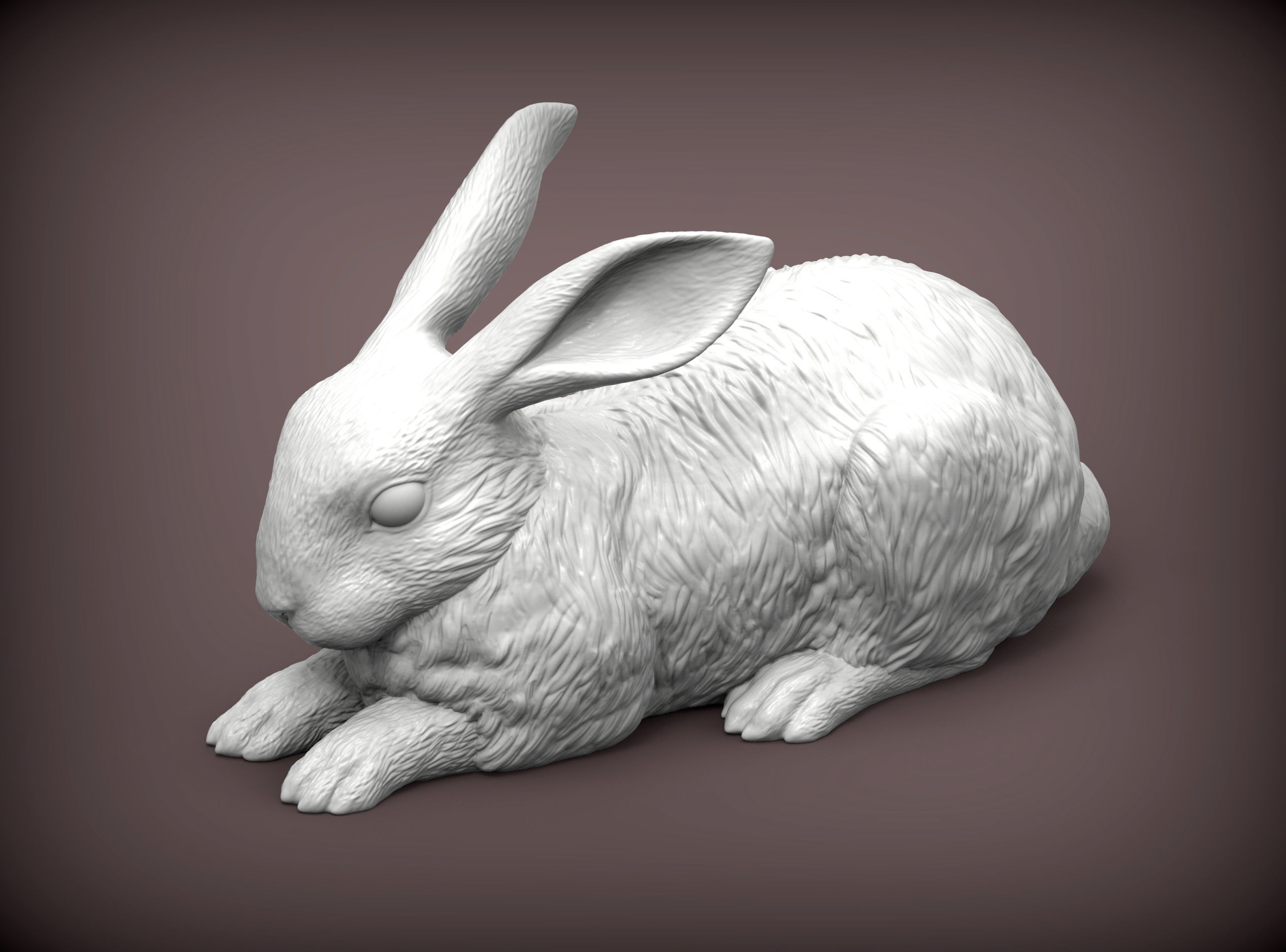 Rabbit 3D print model bunny 3D print model_4