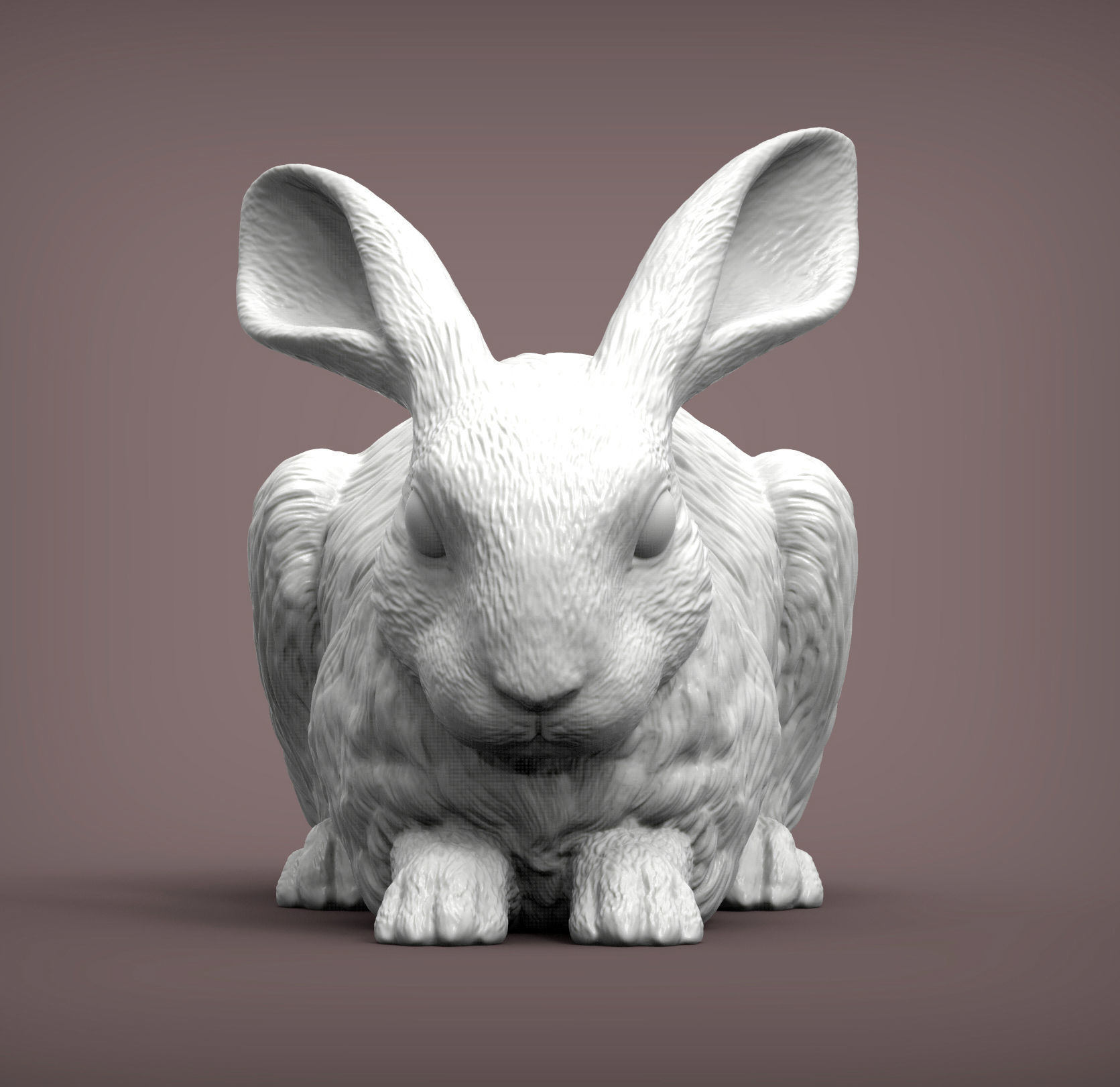 Rabbit 3D print model bunny 3D print model_2