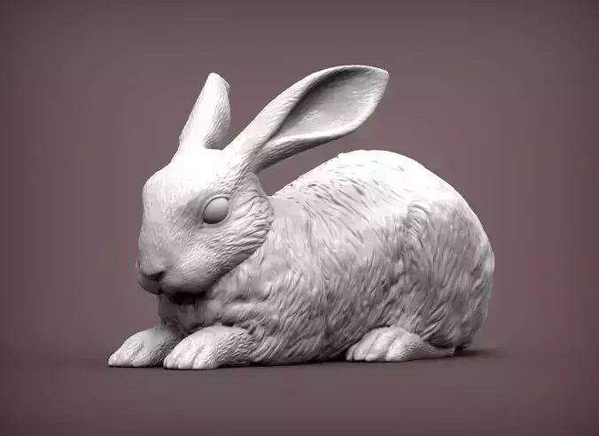 Rabbit 3D print model bunny 3D print model