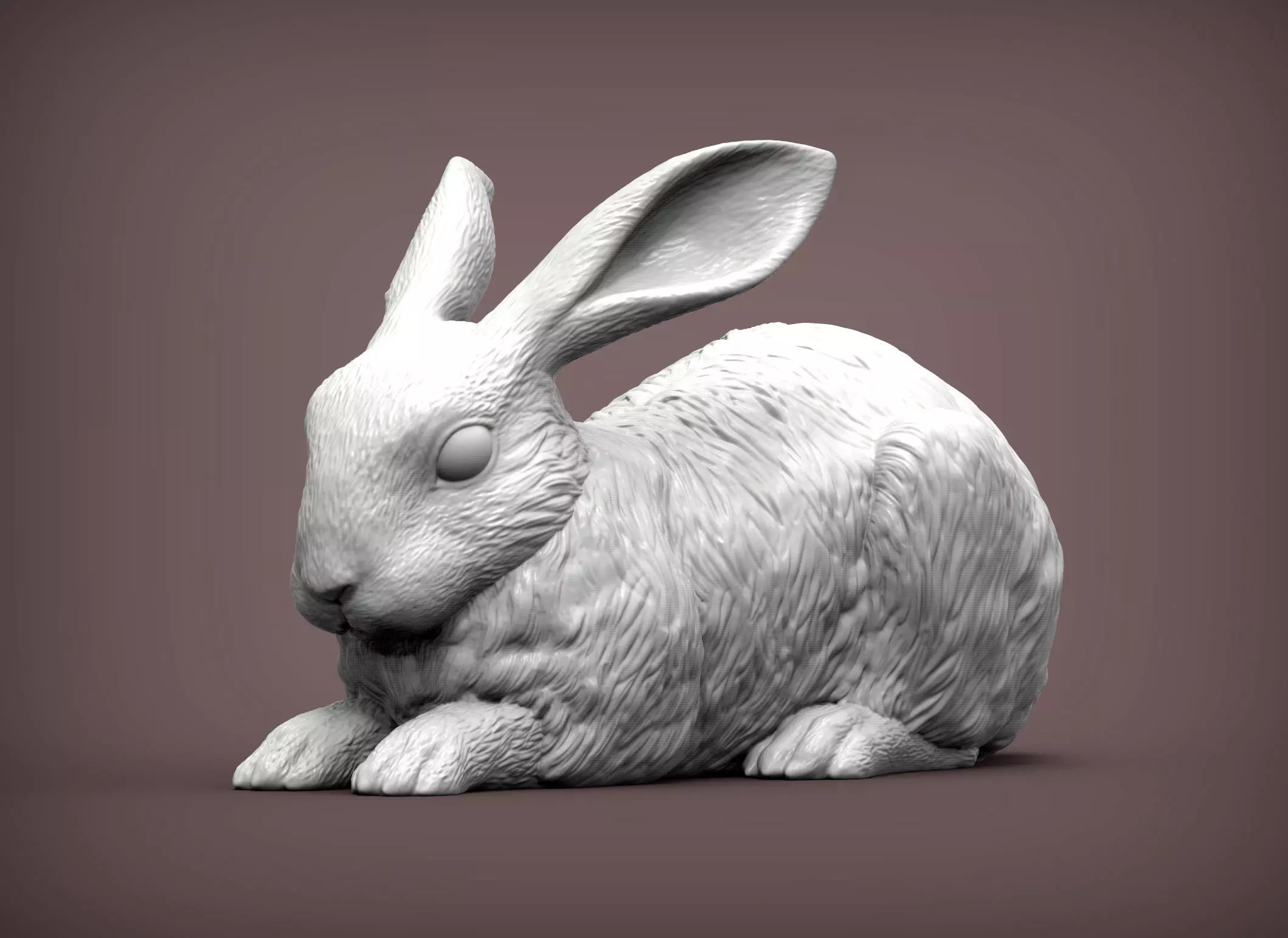 Rabbit 3D print model bunny 3D print model_0
