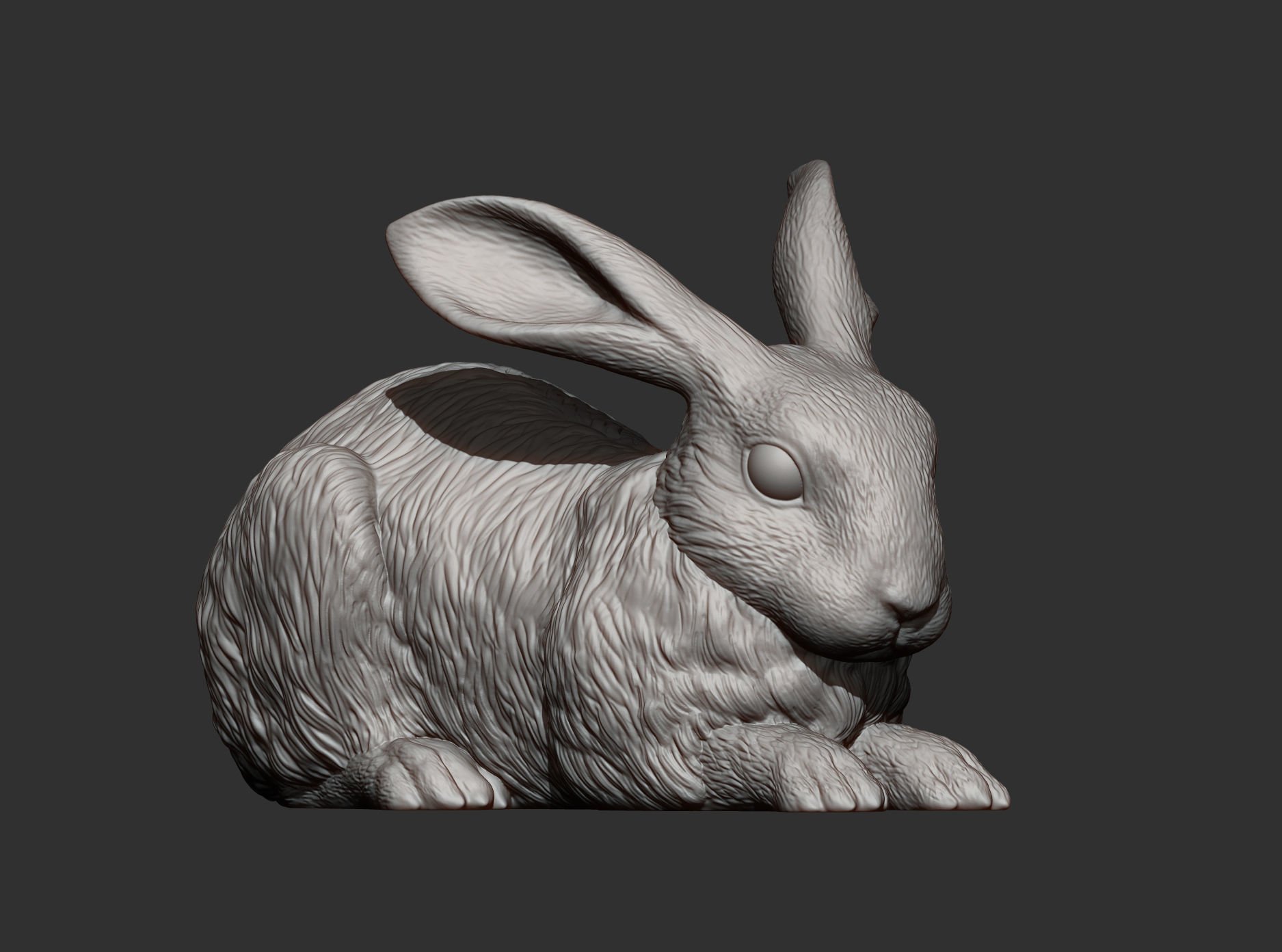 Rabbit 3D print model bunny 3D print model_8
