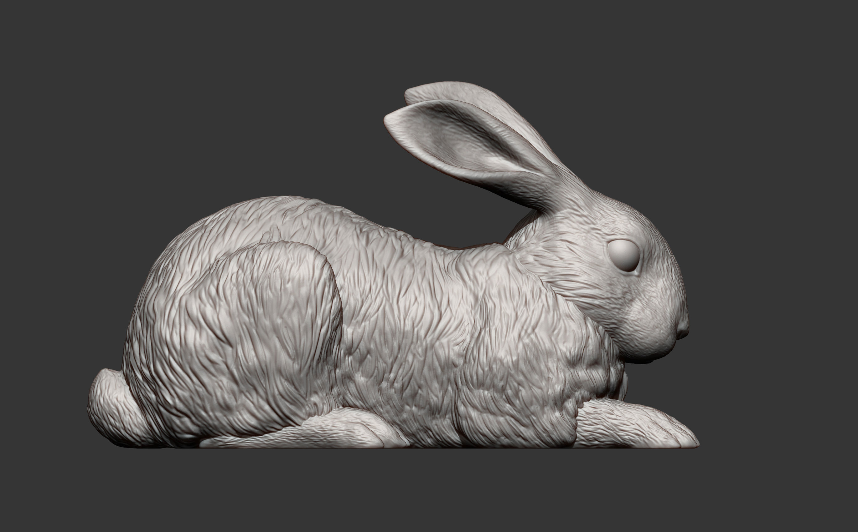 Rabbit 3D print model bunny 3D print model_6