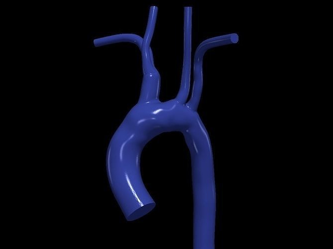 3d model of aorta 3D print model