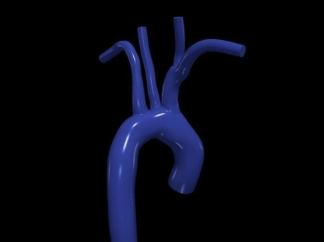 3d model of aorta 3D print model