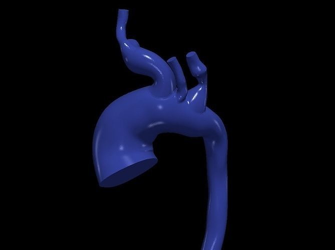 3d model of aorta 3D print model