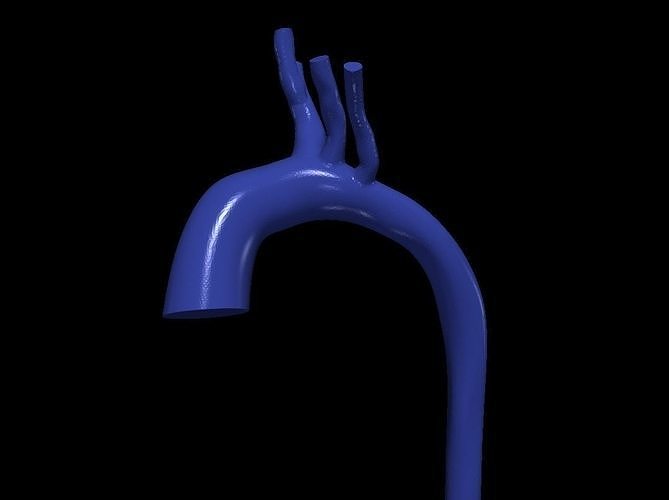 3d model of aorta 3D print model